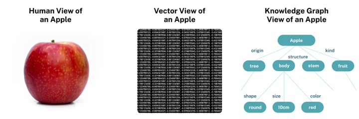 Human, Vector, and Graph Perspectives of Apple